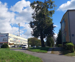 ul. Peowiaków w Zamościu