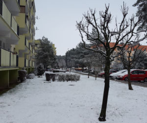 Dziś (19.03.) ostatni dzień zimy. Jutro (20.03.) początek astronomicznej wiosny