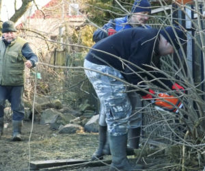 Rolnicy. Podlasie. Andrzej: To wszystko poobcinaj! Na łyso zrób!. Porządkowanie podwórka w Plutyczach