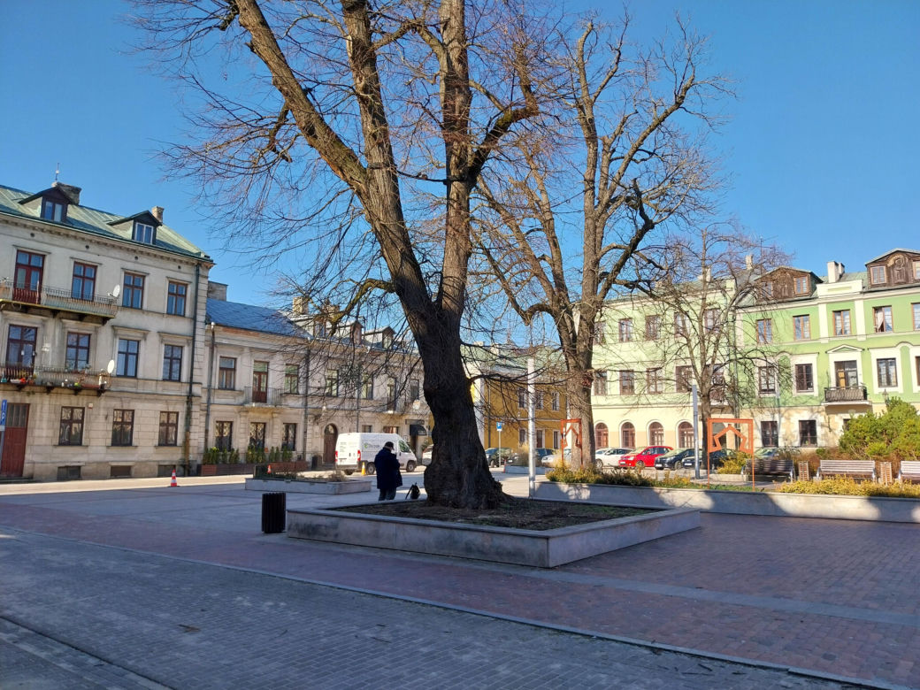 Rynek Wodny w Zamościu