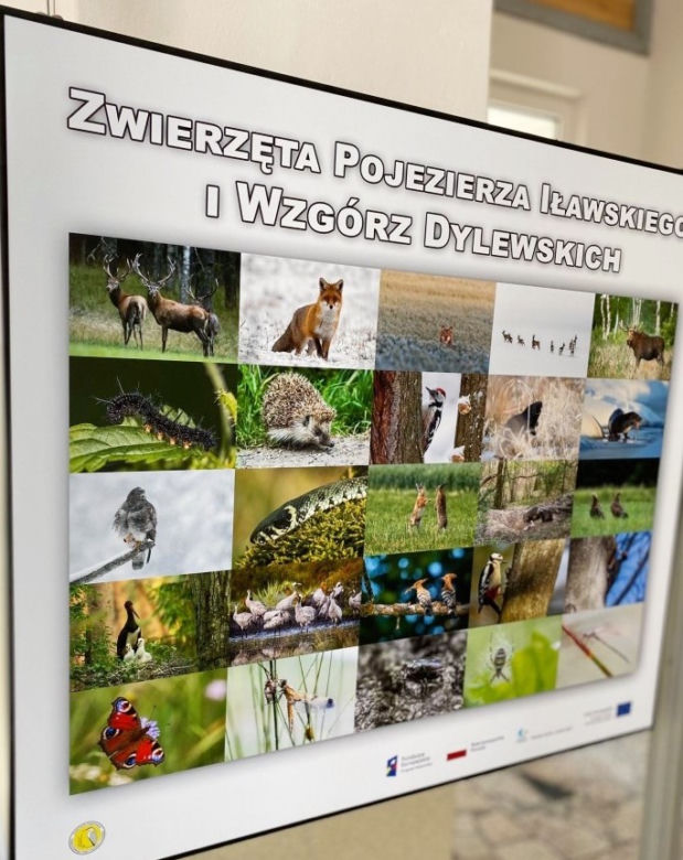Zwierzęta i natura powiatu iławskiego zawitały do iławskiej Biblioteki Miejskiej