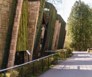 Koronawirus w Trójmieście. Zwierzęta z zoo tęsknią za ludźmi