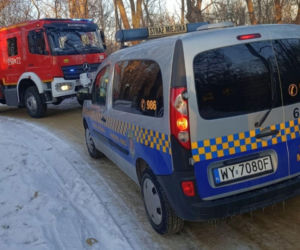 Łabędź przymarzł do lodu na Wiśle