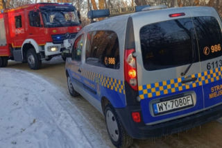 Łabędź przymarzł do lodu na Wiśle