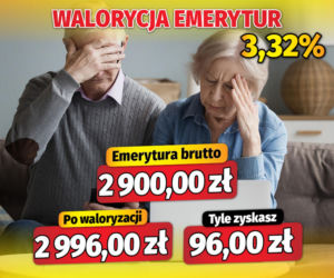 Fiszki waloryzacyjne