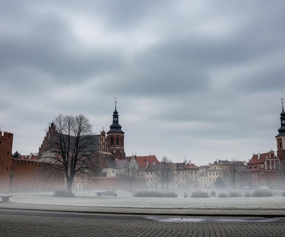 W szerokim kadrze widoczny jest plac pokryty szronem i mgłą, otoczony budynkami oraz fragmentem ulicy wyłożonej kostką brukową. Na lewo dominuje ceglana budowla z krenelażem i okrągłą wieżą, za nią rozpościera się duży kościół z czerwoną cegłą, ciemnym dachem i wysmukłą, ciemną wieżą zakończoną iglicą z chorągiewką. Pośrodku placu stoi duże, bezlistne drzewo, a za nim widać rzędy różnokolorowych kamienic, głównie w odcieniach żółci, czerwieni i brązu, z licznymi oknami i spadzistymi dachami. Na prawo również wznosi się kolejna, podobna wieża z iglicą, a przed nią znajduje się kosz na śmieci. Całość tonie w gęstej, szarej mgle i pokrywa ją warstwa szronu, a niebo jest zachmurzone i szare.