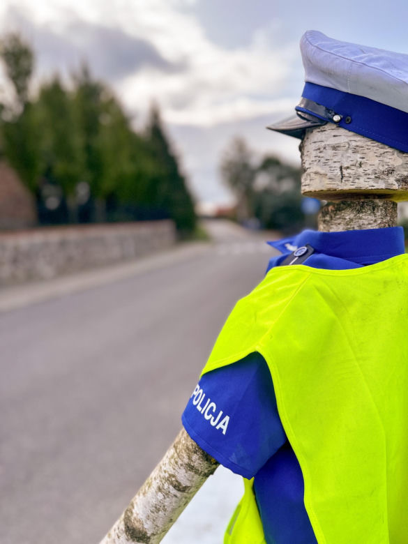 Porządku na drodze pilnuje stróż prawa z drewna
