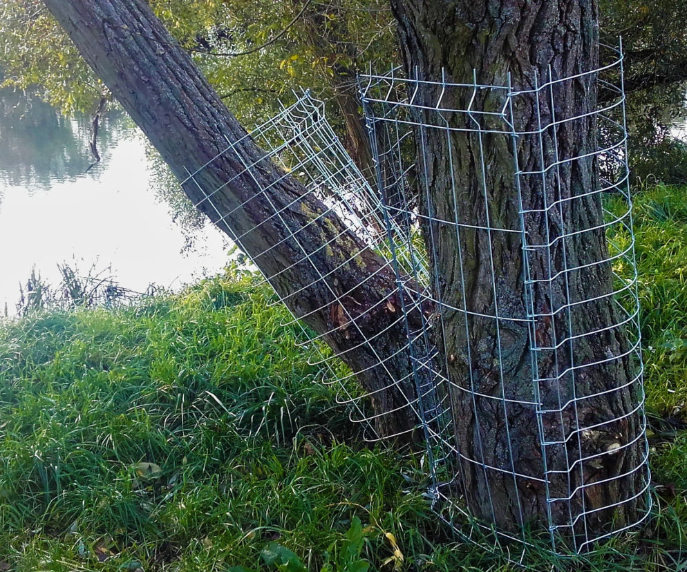 Siatka na bobry