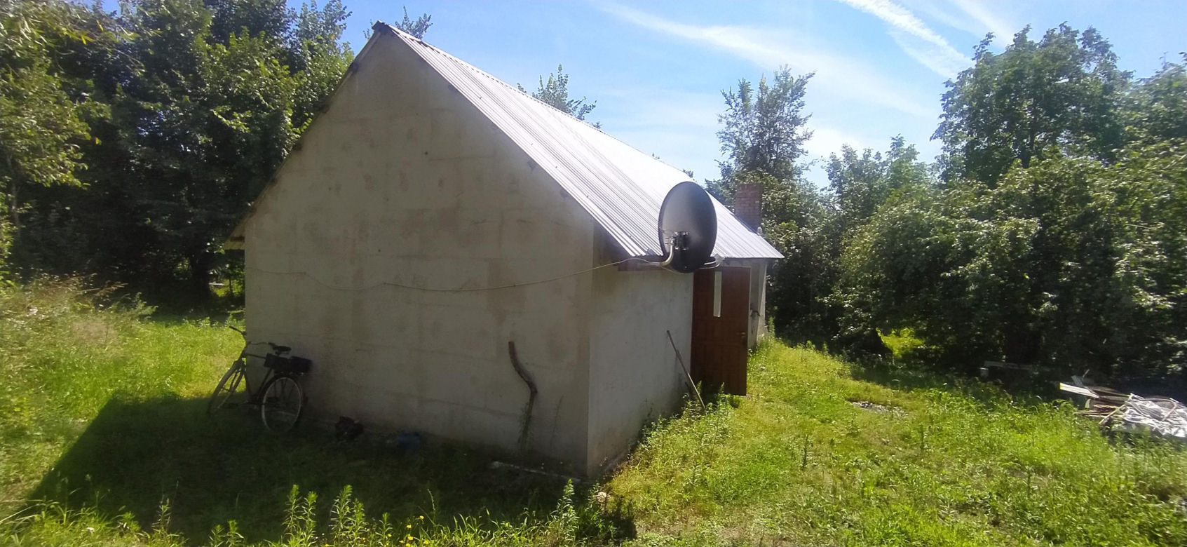 Psy rozszarpały mojego brata! Krwawy horror na Lubelszczyźnie