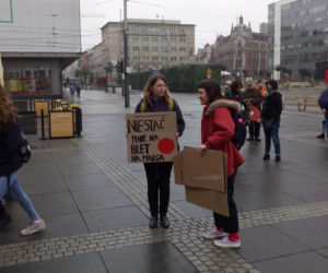Katowice: Demonstracja w obronie Ziemi