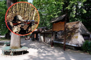 Ponad 500 podpisów przeciw polowaniom. Cygański Las w centrum protestu