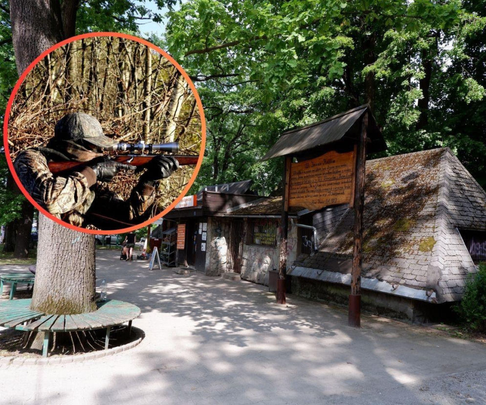 Strzały w lesie spacerowym. Mieszkańcy Bielska-Białej mówią „dość” polowaniom