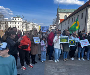 Portal Lublin - Brazylia