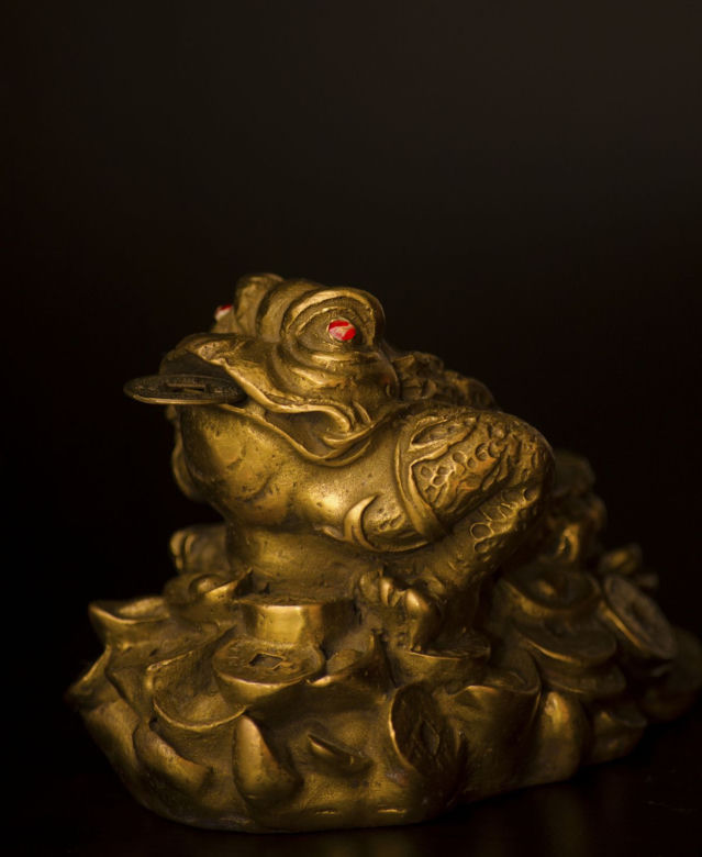 feng shui ogród