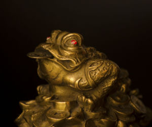 feng shui ogród