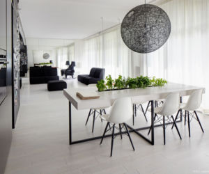 Czarno-białe wnętrze apartamentu