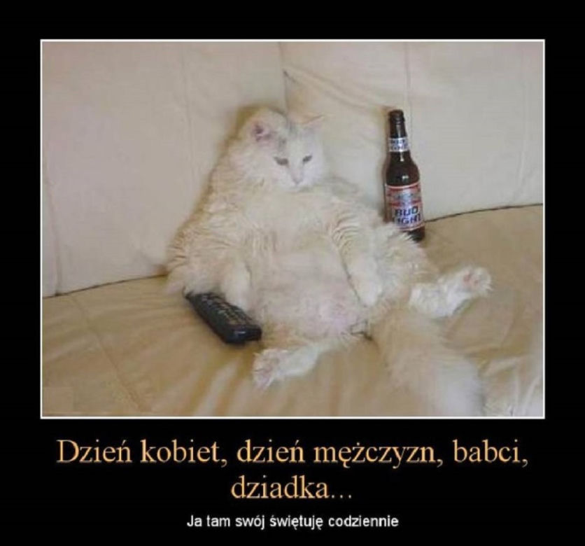 Memy na Dzień Mężczyzn 2021: Tak prawdziwe, że aż zabawne!