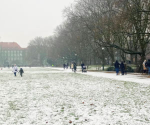 Noworoczny atak zimy w Szczecinie