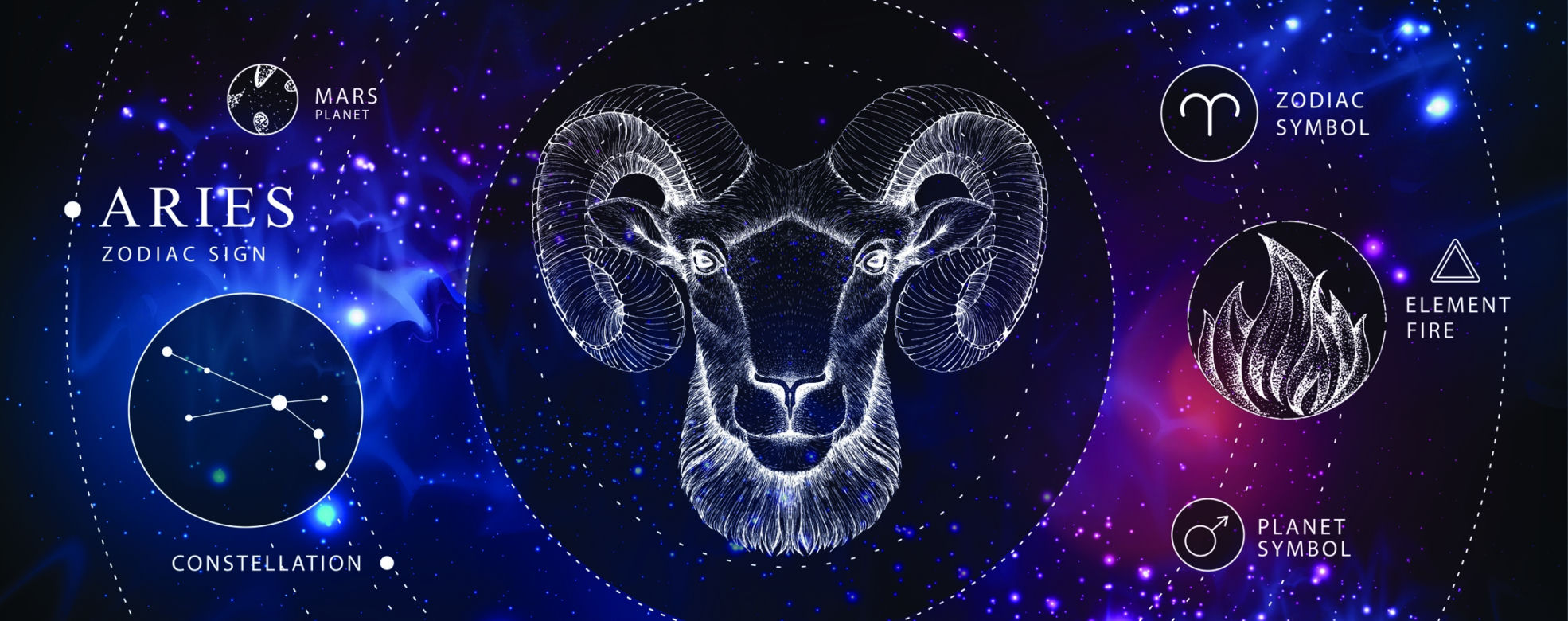 Najbardziej atrakcyjne części ciała znaków zodiaku. Krągłe pupy Koziorożca i zmysłowe usta Strzelca