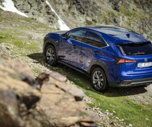 Iga Świątek jeździ Lexusem NX 300h F Sport