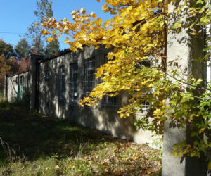 Opuszczony szpital w Zabrzu. Kiedyś świetna lecznica. Teraz odstraszająca ruina