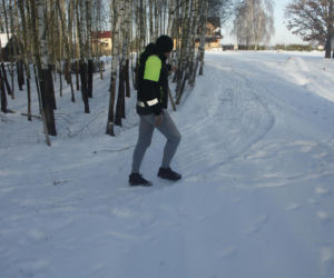 Wataha psów terroryzuje wieś. „Nie zaatakowały z głodu. To była napaść, by zabić”