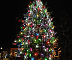 Choinka miejska Siedlce