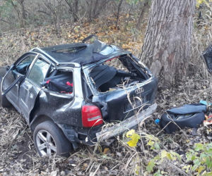 Audi wylądowało na drzewie