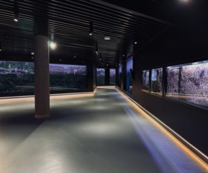 Egzotarium w Sosnowcu