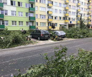 Jedną z dzielnic, któa ucierpiała najbardziej był Czechów Południowy