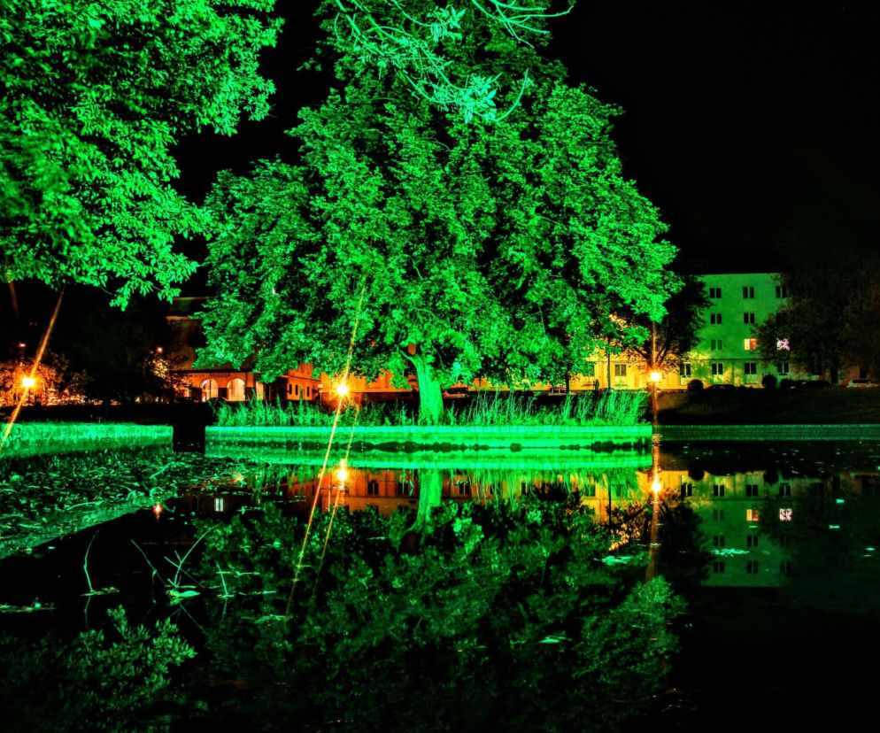Park Śledzia