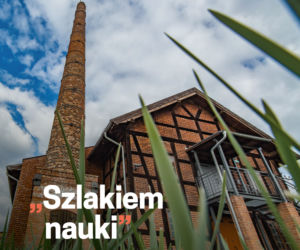 Internauci wybrali nowe trasy darmowych spacerów po Olsztynie