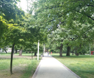 Park Bogucki w Katowicach zyskał nowe oblicze! [ZDJĘCIA]