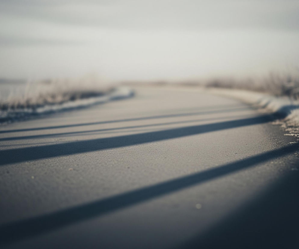 Centralną część obrazu zajmuje pokryta szarym, zmrożonym asfaltem droga, która delikatnie zakręca w prawo i zanika w oddali. Na jej powierzchni widoczne są długie, ciemne cienie biegnące równolegle do lewej krawędzi kadru. Po obu stronach drogi rozciąga się pas uschniętej trawy i krzewów, pokrytych szronem, co nadaje im srebrzystobiały odcień. Horyzont jest rozmyty i wypełniony jasnym, szarym niebem, które zlewa się z niewyraźnym, dalekim pejzażem.