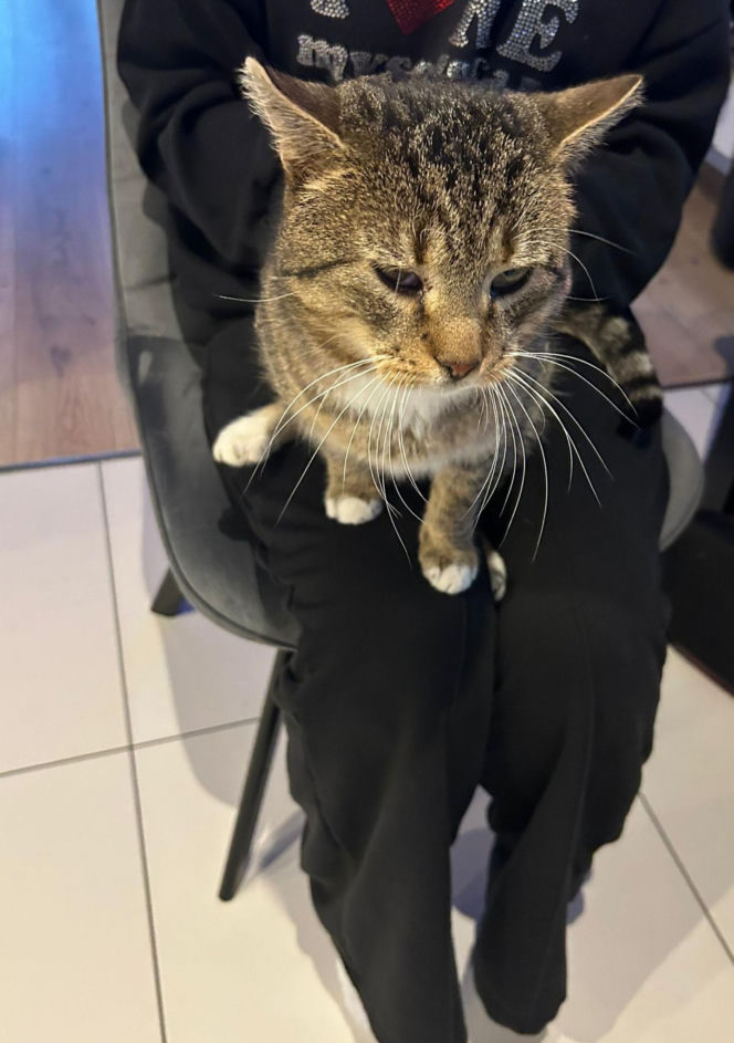 Mińsk Mazowiecki. Zatruł się czadem, gdy ratował Mruczka