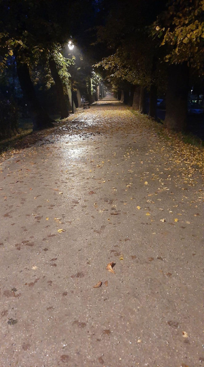 Planty i niedźwiadki w Rawiczu