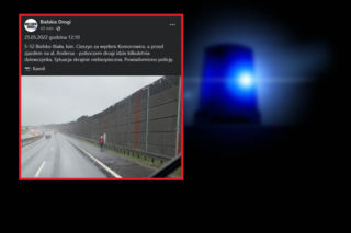 Bielsko-Biała: Przy ekspresowej drodze chodziło dziecko? Szokujący finał interwencji policji