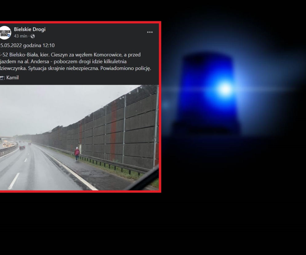 Bielsko-Biała. Po ekspresówce miała chodzić dziewczynka! Zaskakujący finał