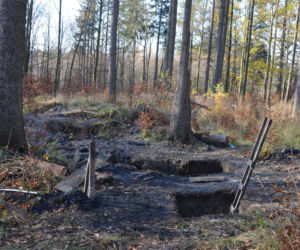 Biedaszyby w lasach na terenie Nadleśnictwa Wałbrzych