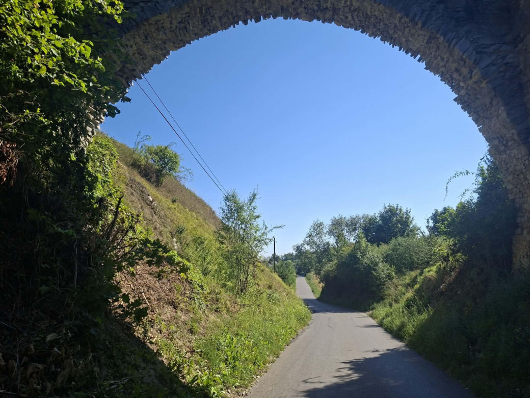 Ossolin