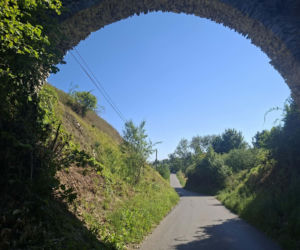 Ossolin