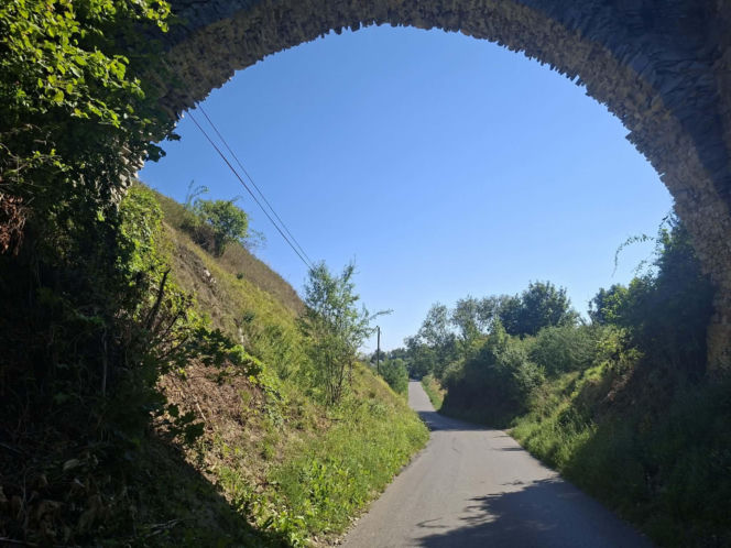 Ossolin
