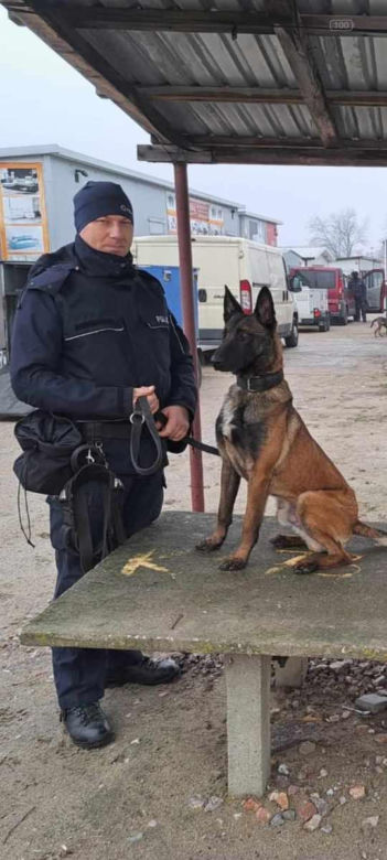 Szewron dołączył do grona policjantów. To zawodowiec do zadań specjalnych na czterech łapach