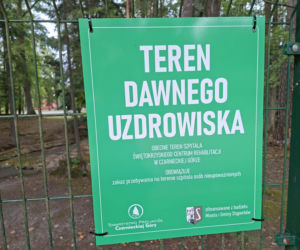 Czarniecka Góra