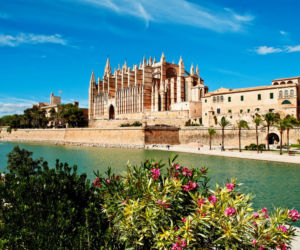 Palma, Majorka