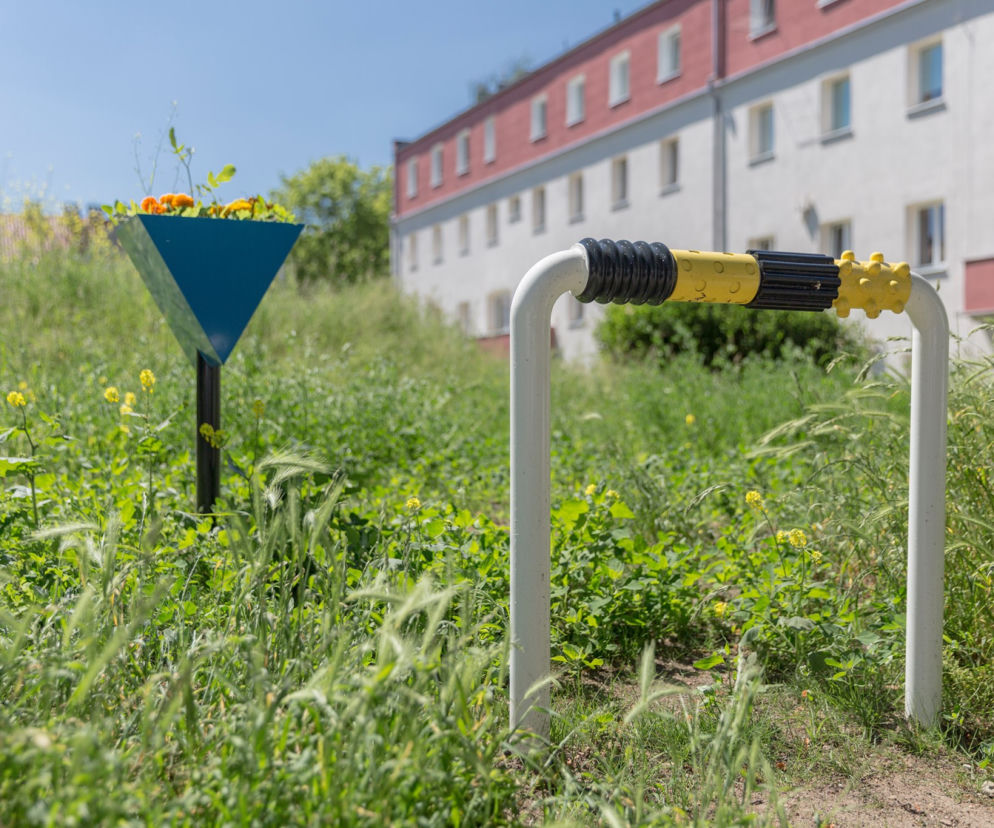 Instalacja zamiast dzikiego parkingu? W Gdyni walczą z drogowym problemem 