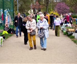 Pchli targ na Pogodnie