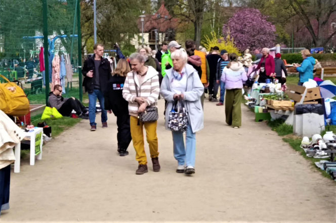 Pchli targ na Pogodnie