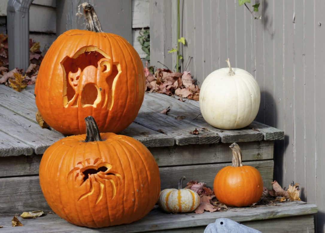 Dekoracje z dyni na Halloween