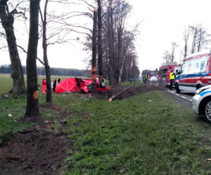 Boćki. BMW roztrzaskało się na drzewie. W środku mężczyzna i kobieta [ZDJĘCIA]